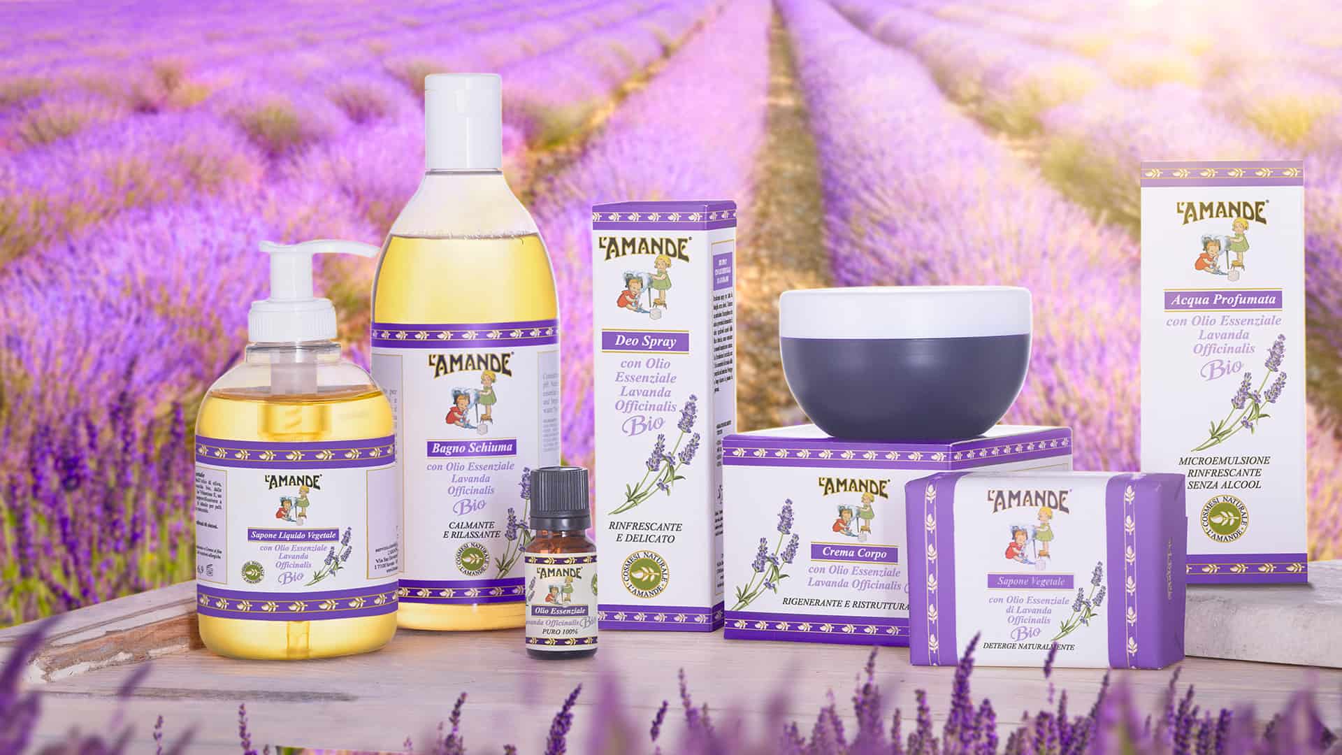 Lavanda officinalis del Piemonte