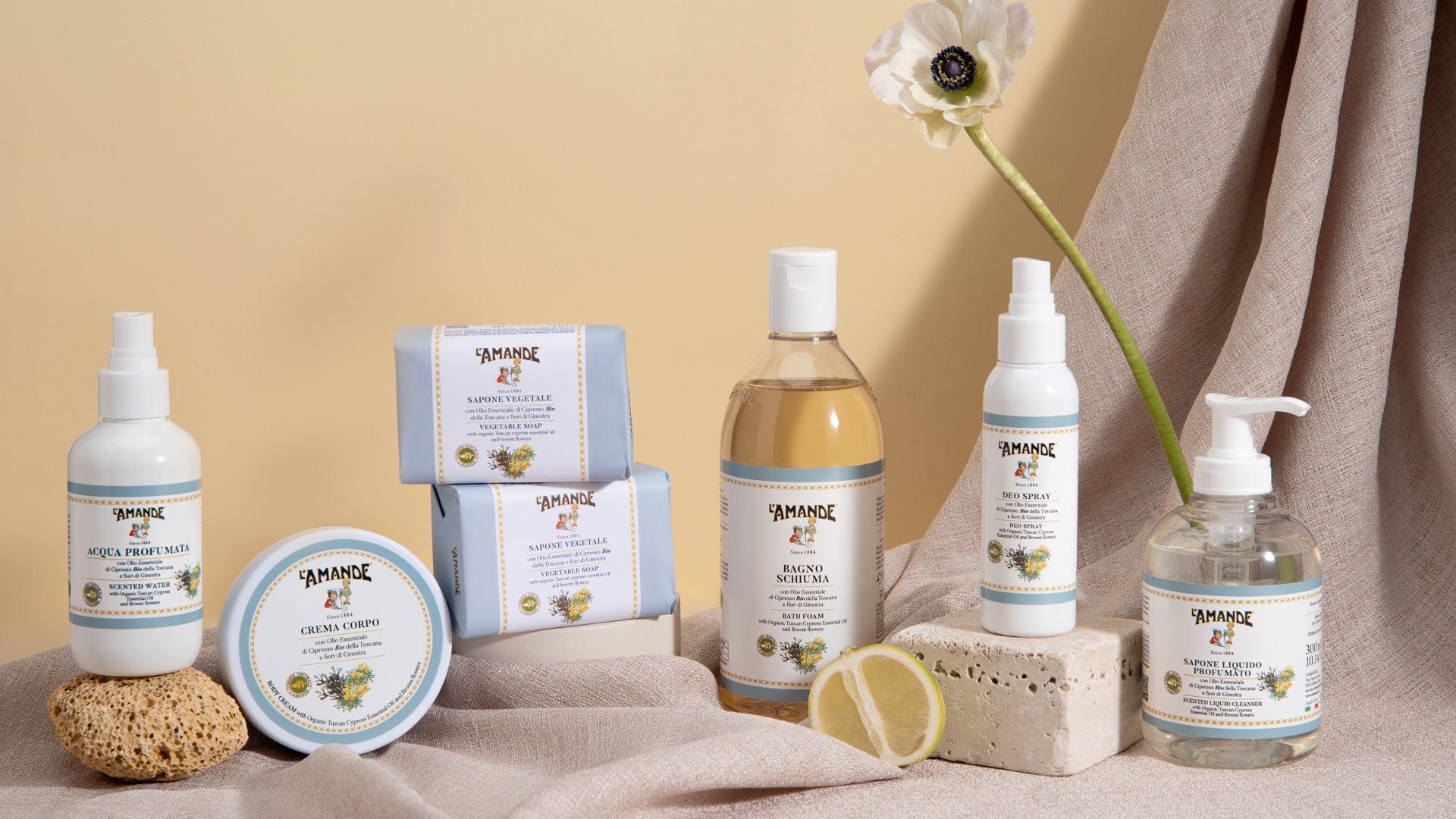 Cipresso e Ginestra della Toscana