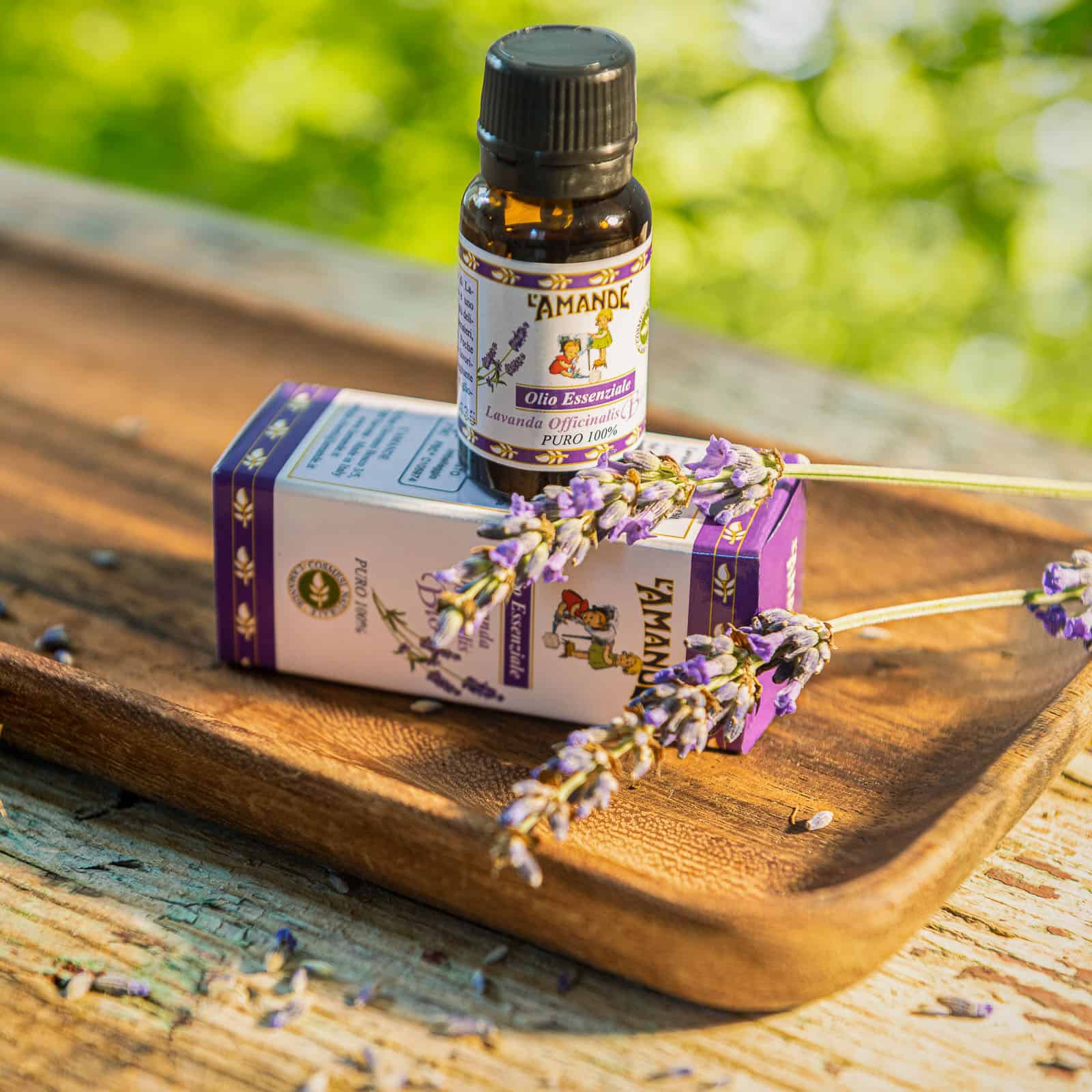 Olio essenziale Lavanda officinalis del Piemonte bio