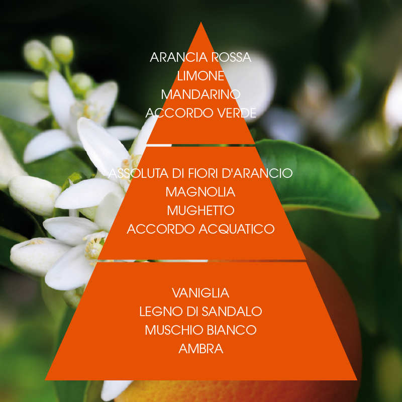 Crema corpo Fior d'arancio supremo