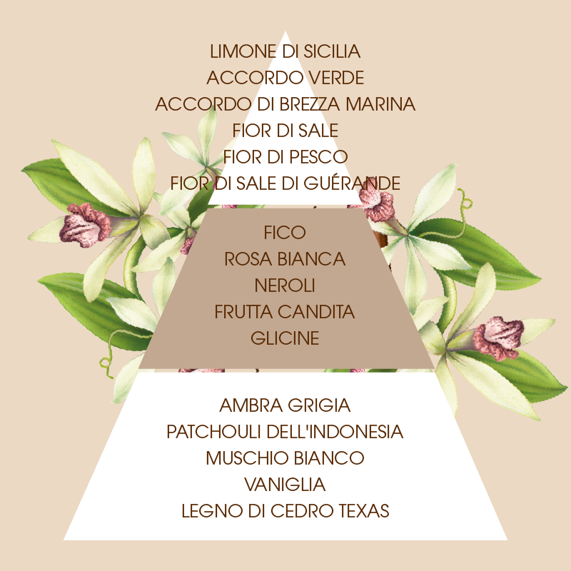 Doccia schiuma Fleur de Sel & Vanille