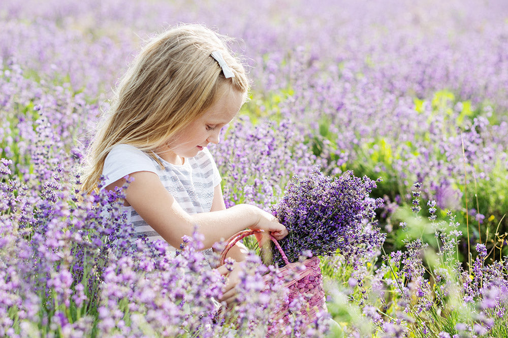 Lavanda: virtù e benefici