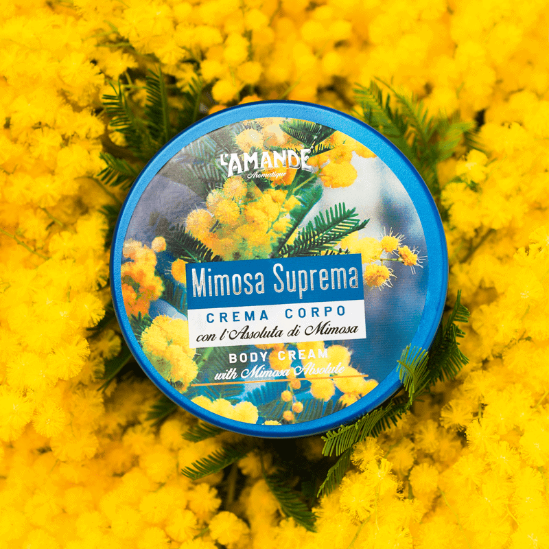 Crema corpo Mimosa suprema