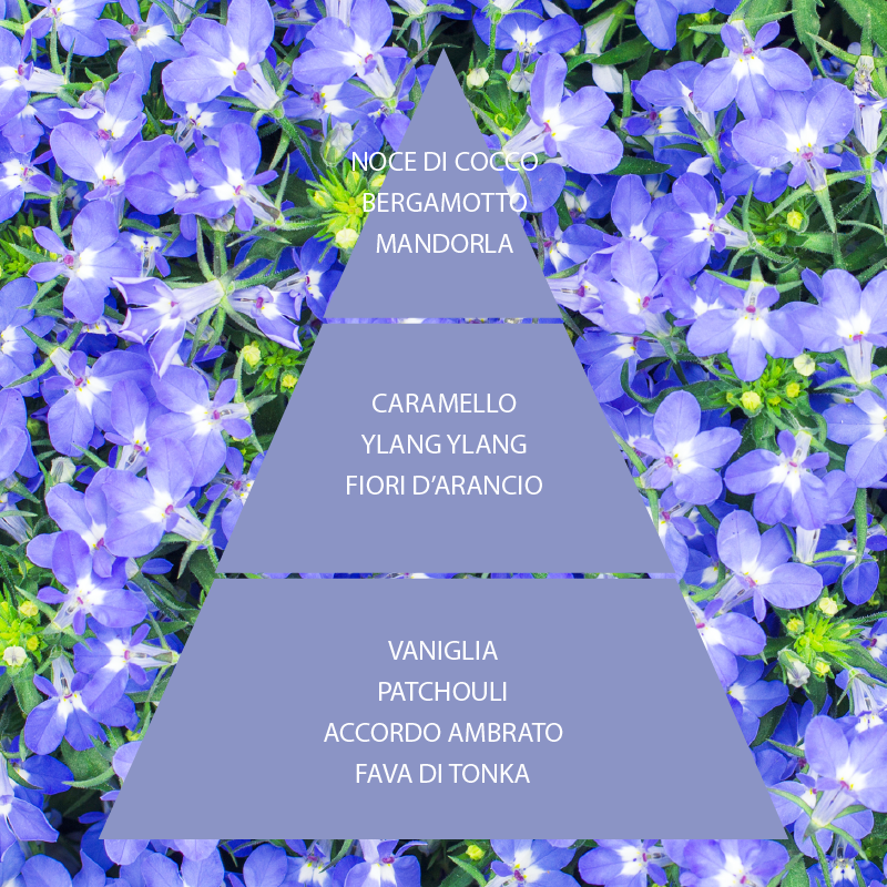 Crema corpo Fiori di Zaffiro